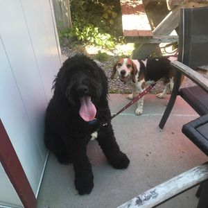 Meet your Posher, Katharine